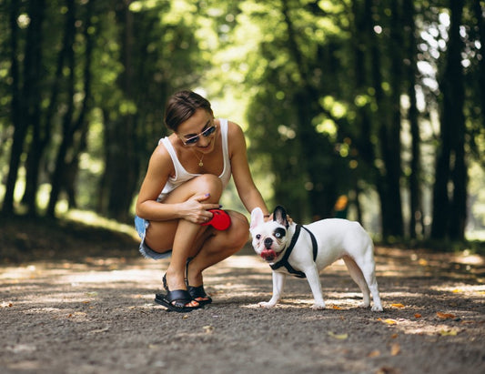 Puzzle, Tug, and More: The Top Dog Games to Play for a Happy Dog