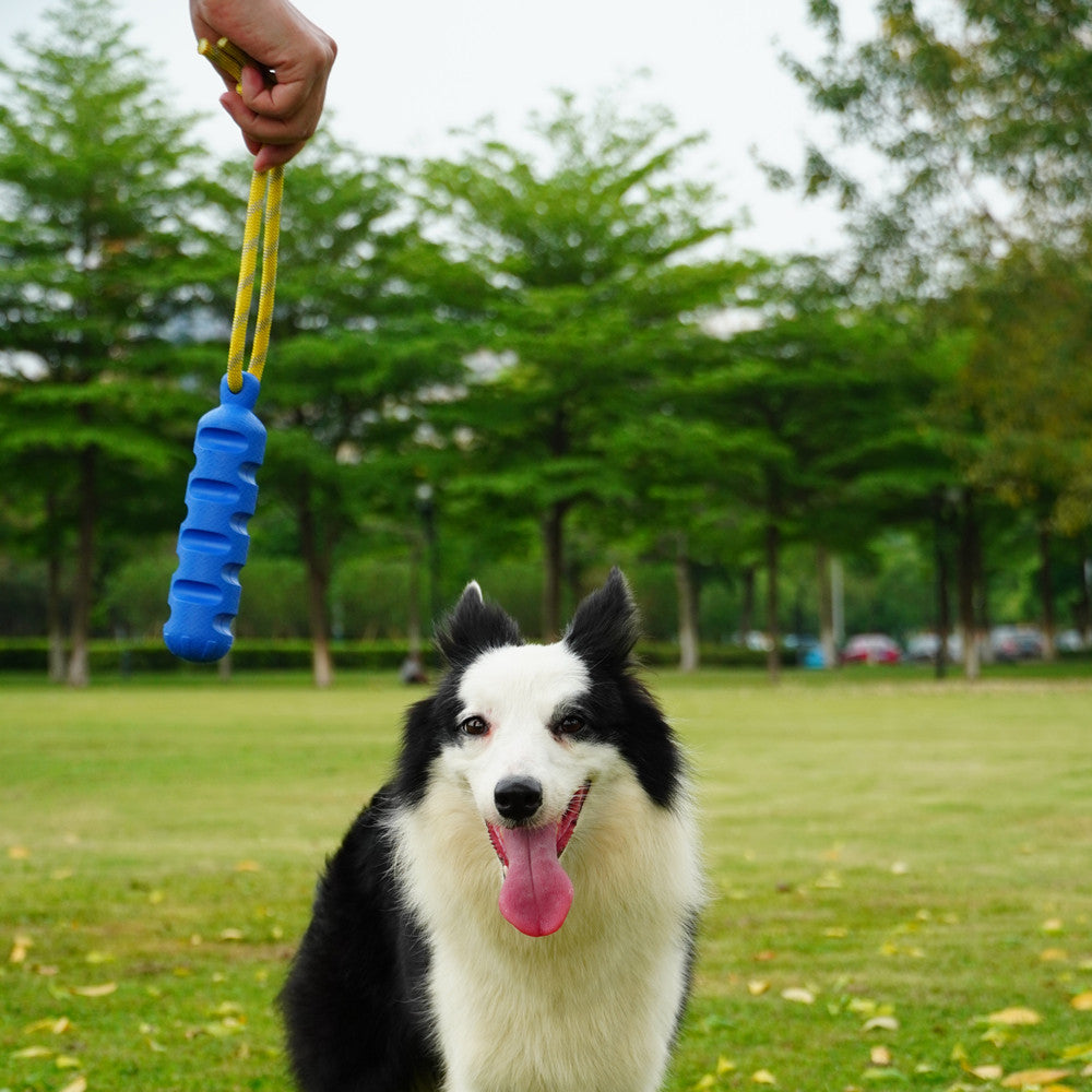 Tug of War Pro Toy