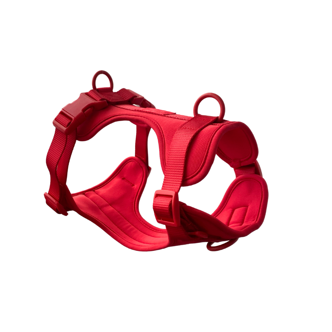 Ultra Soft Dog Harness
