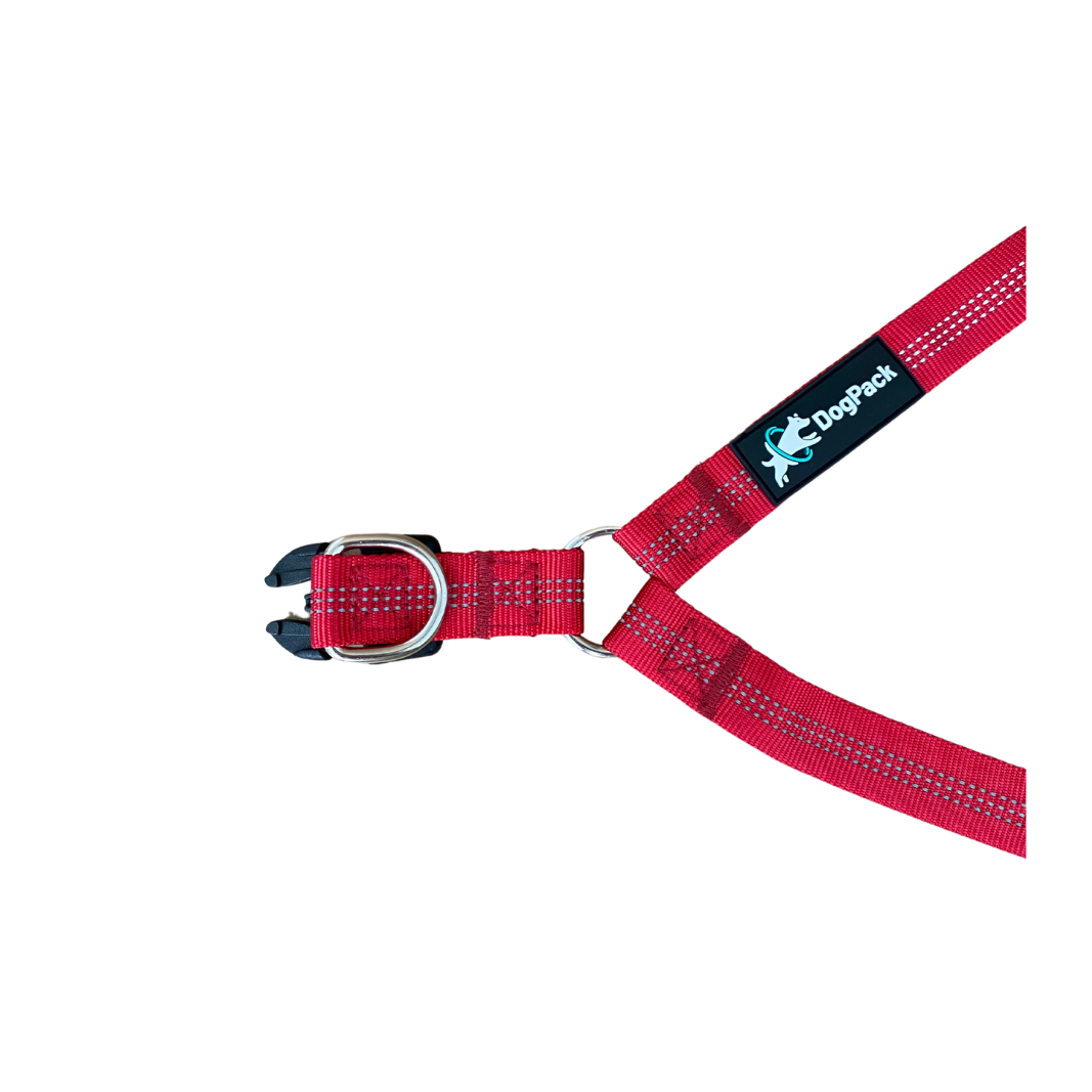 Step In Light-Weight Dog Harness