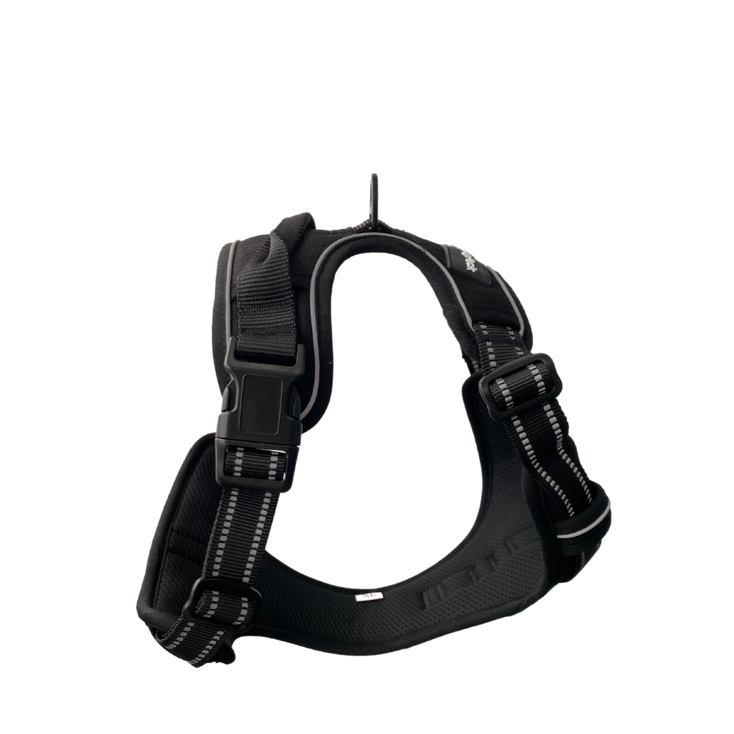 Classic Lightweight Harness