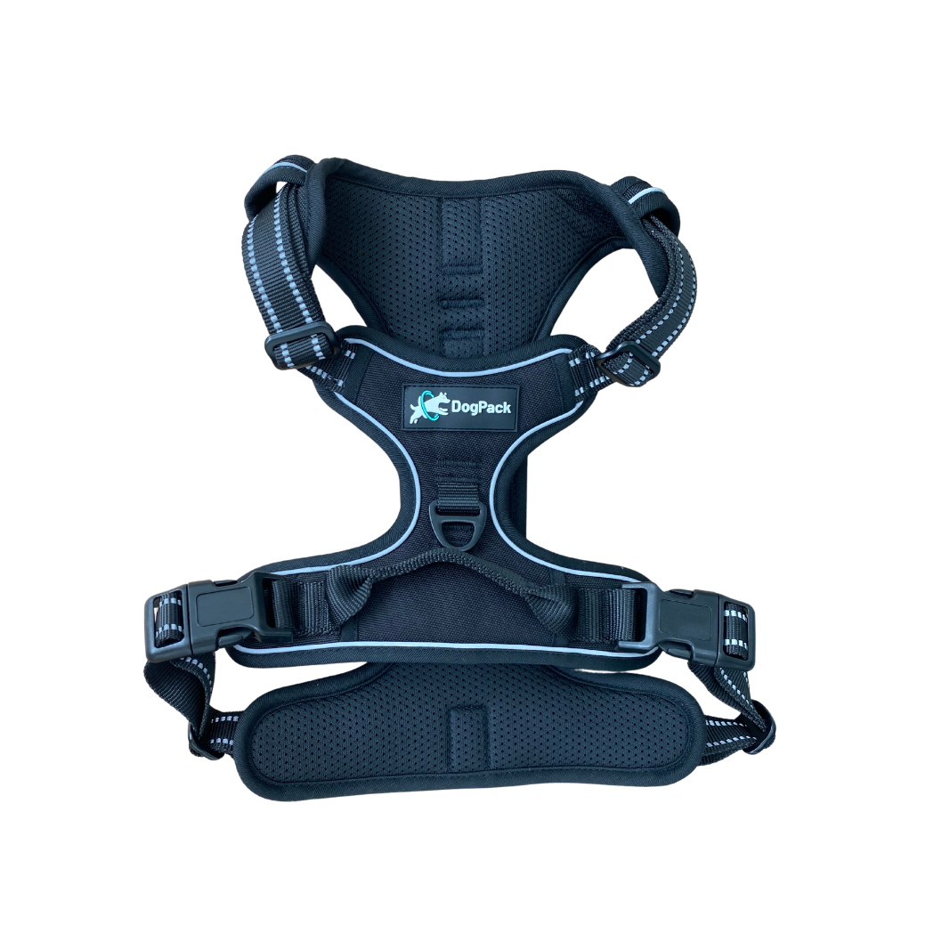 Classic Lightweight Harness