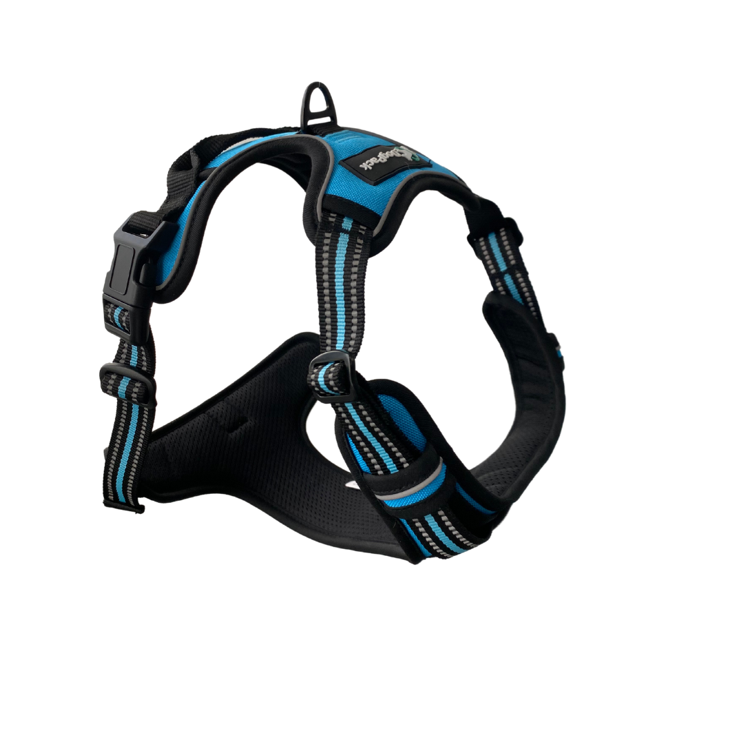 Classic Lightweight Harness