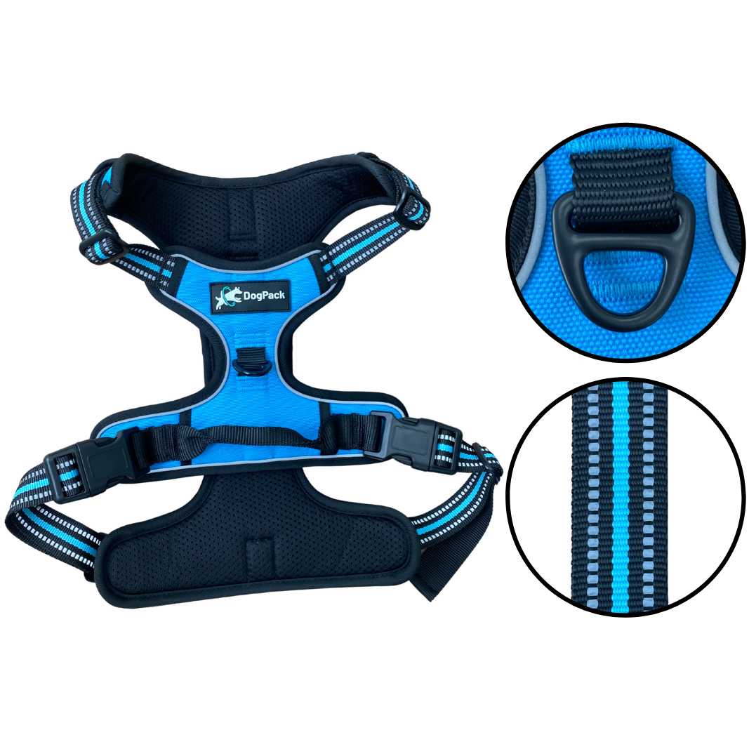 Classic Lightweight Harness