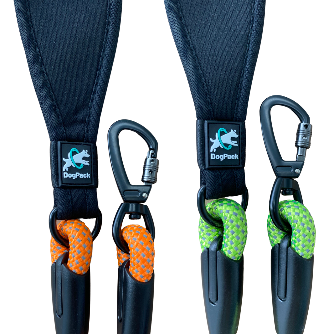Padded Handle Rope Leash