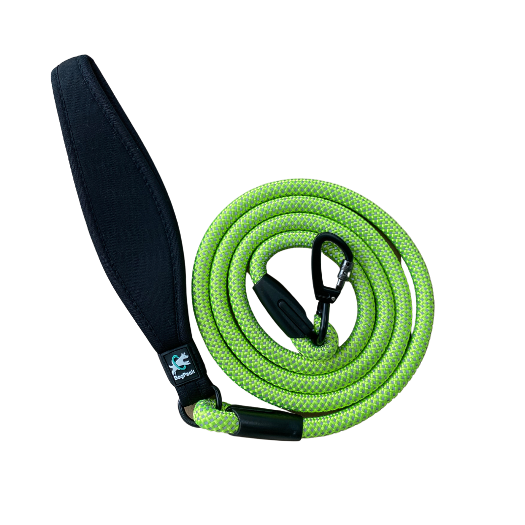 Padded Handle Rope Leash