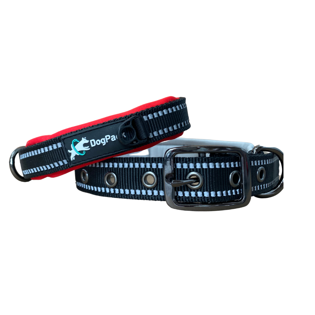 Soft-Padded Collar