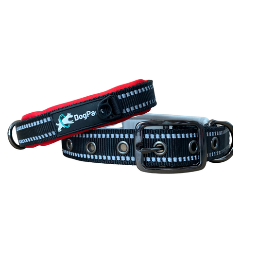 Soft-Padded Collar