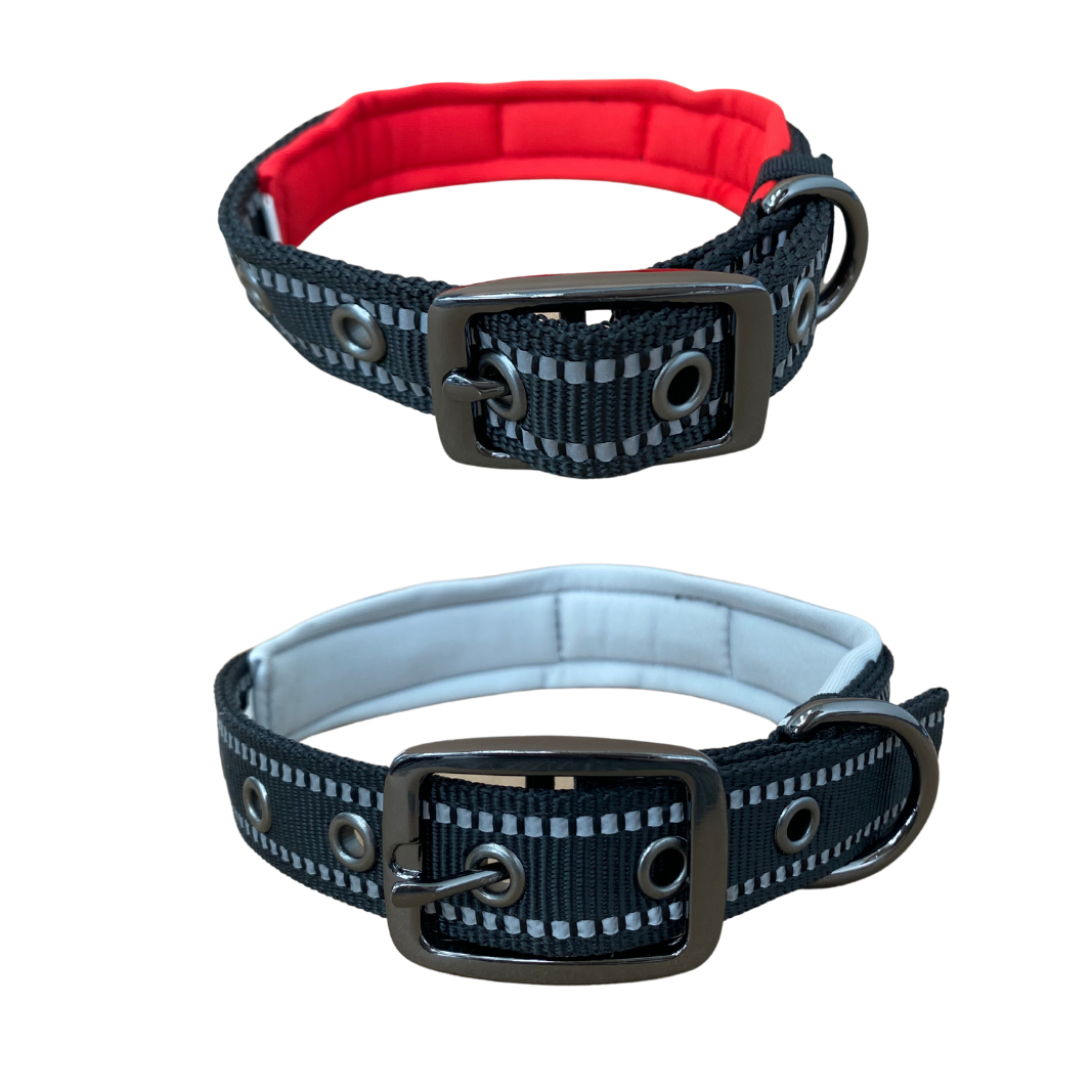 Soft-Padded Collar