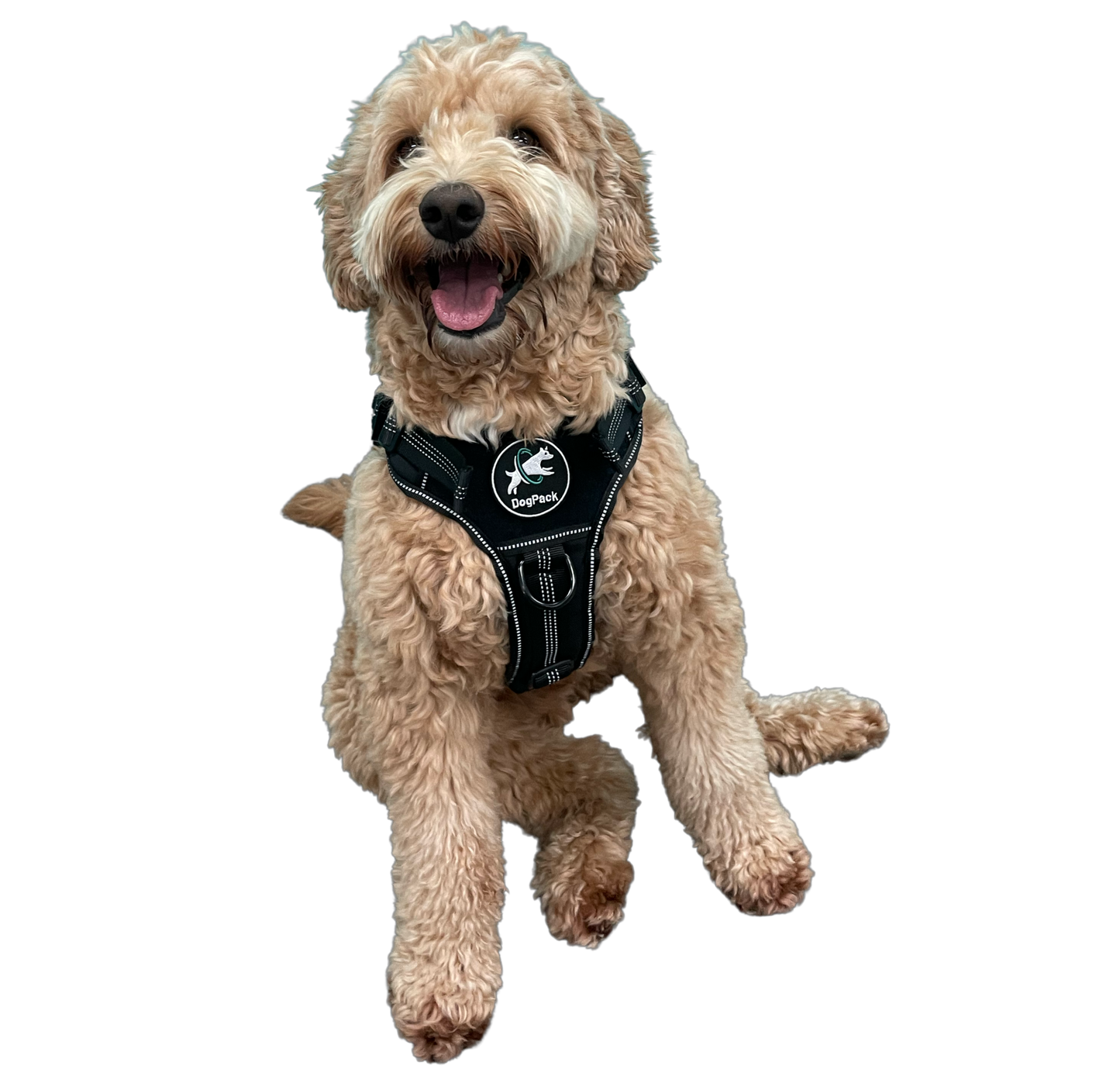 Tactical Harness