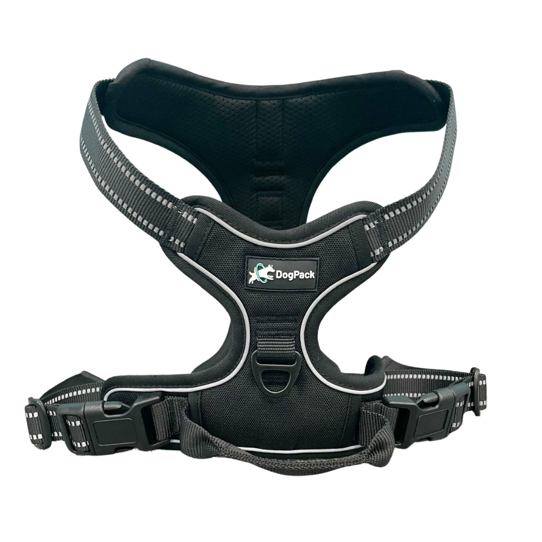 Classic Lightweight Harness