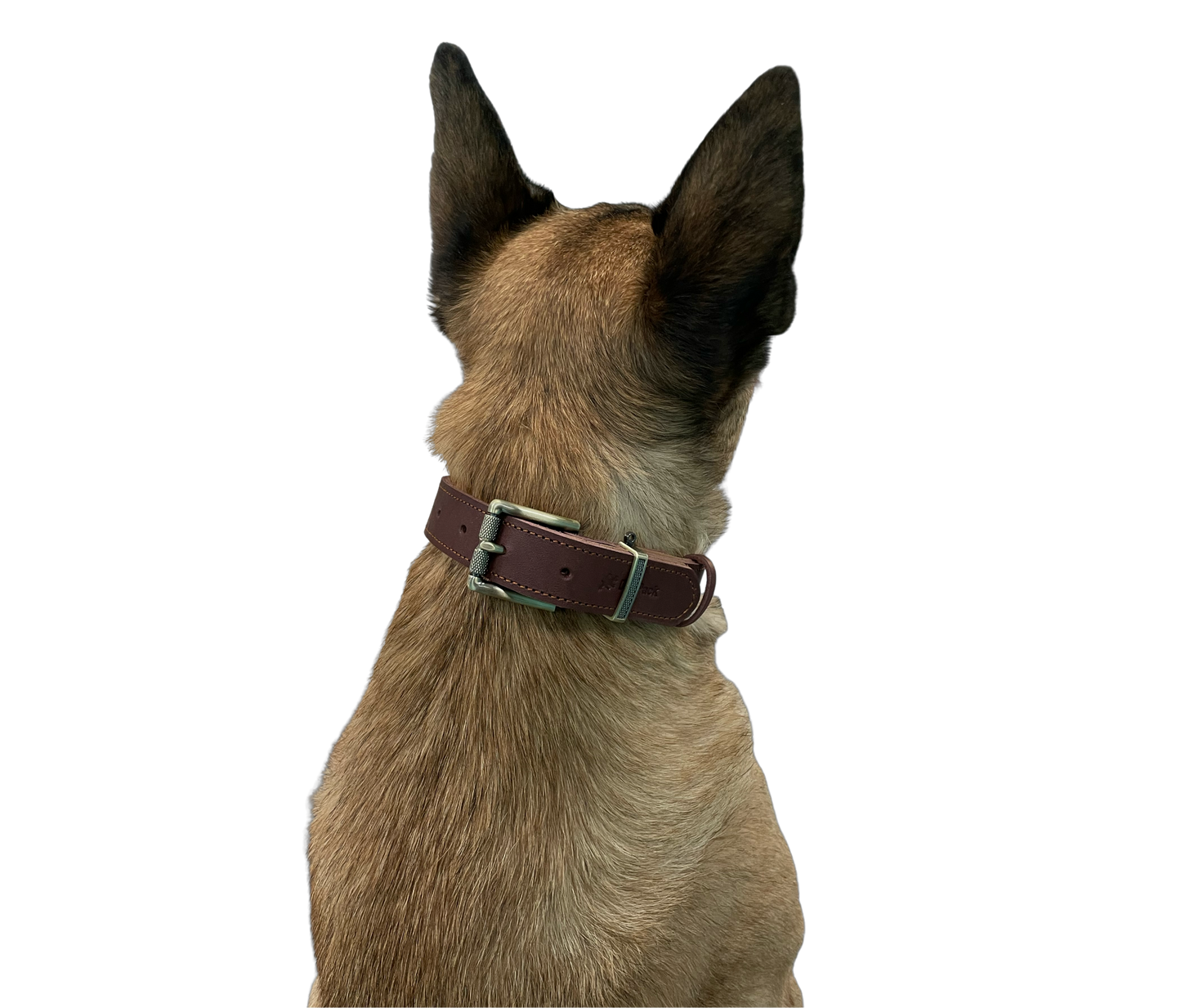 Leather Collar