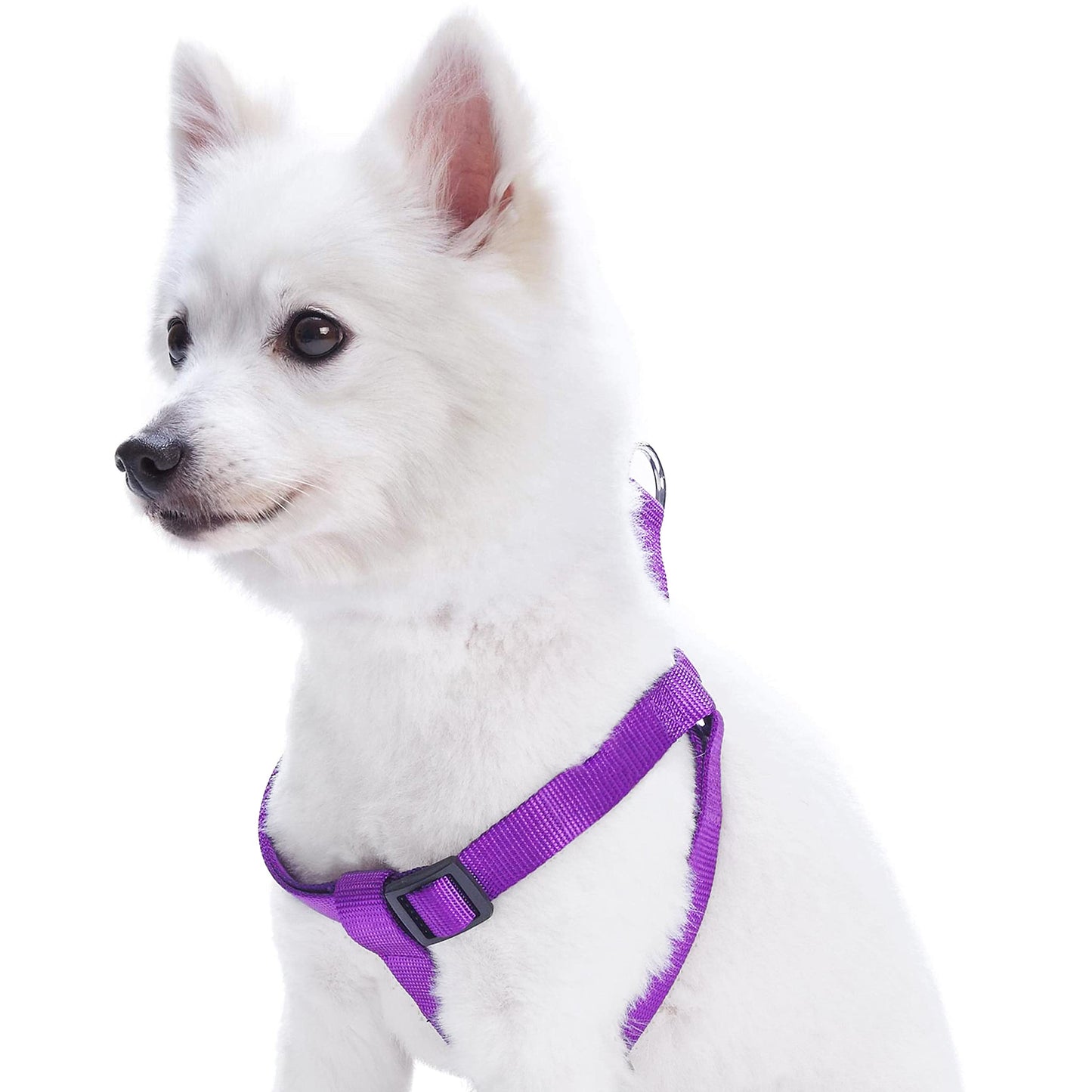 Step In Light-Weight Dog Harness