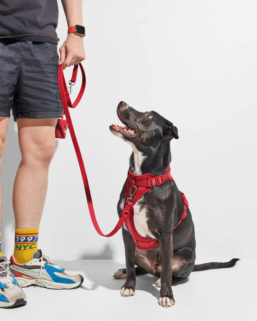 Hands Free Water Proof Leash
