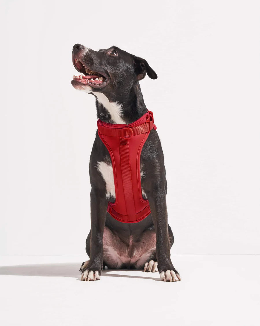 Ultra Soft Dog Harness