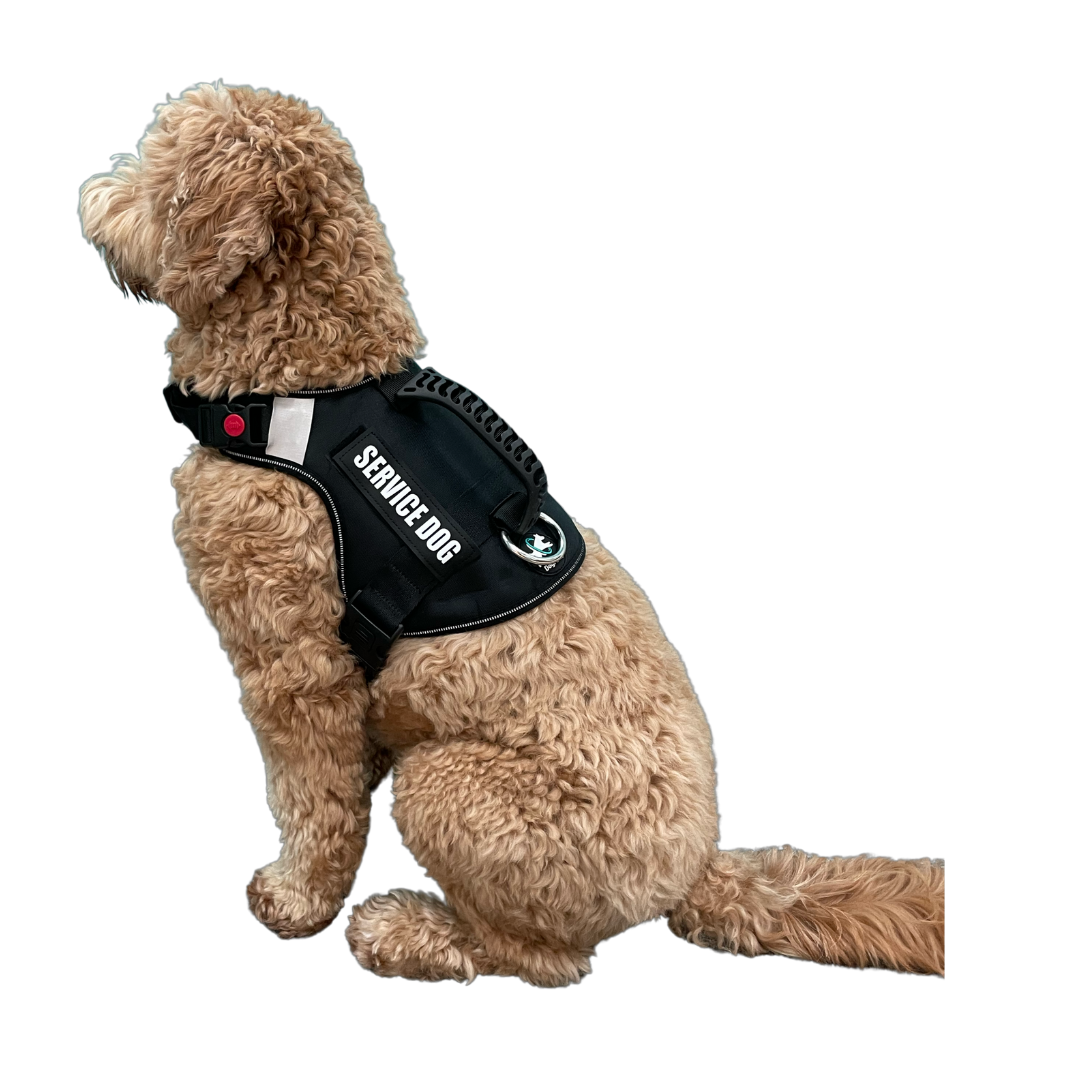 Reflective Service Dog Harness