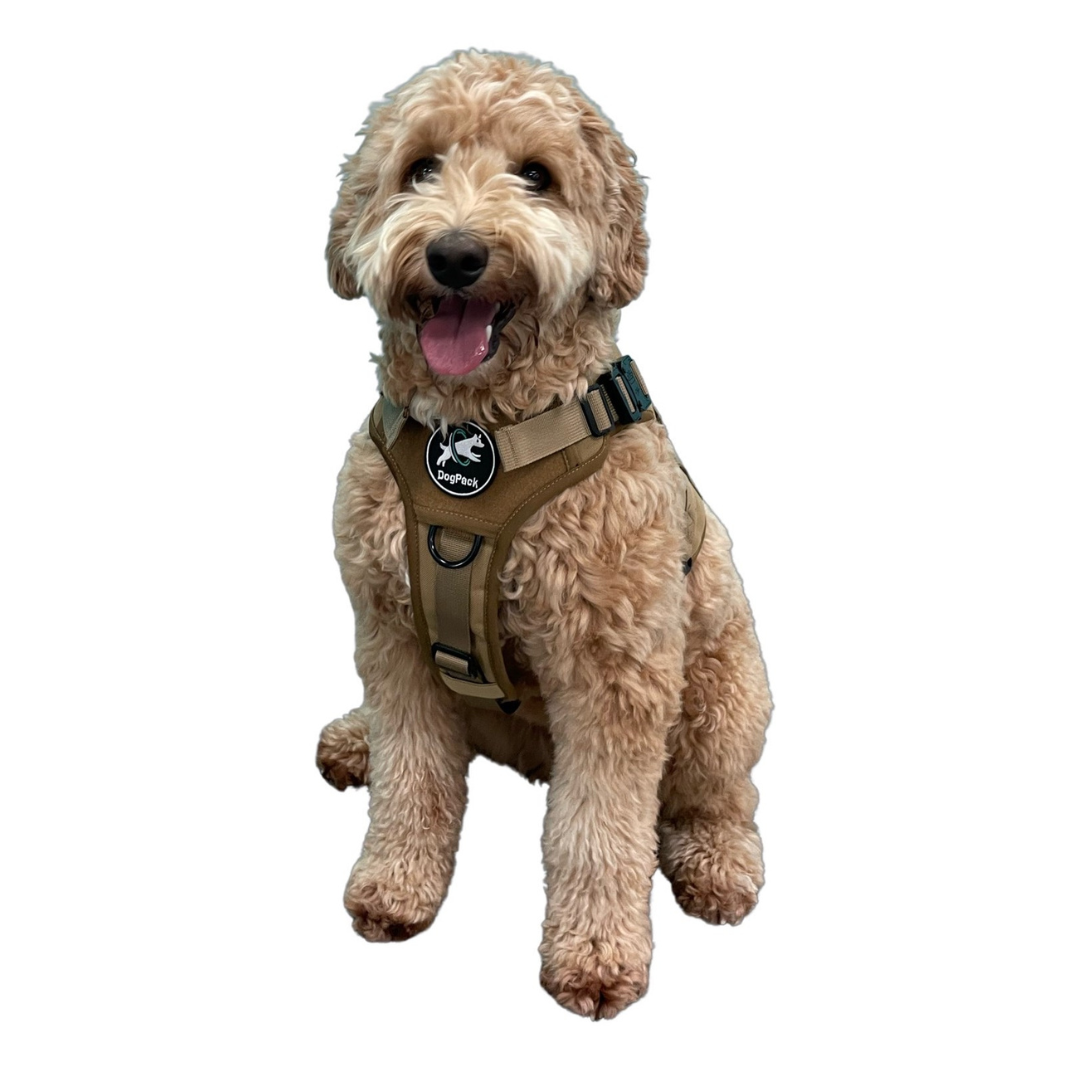 Tactical Harness