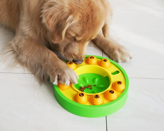 The Benefits of a Slow Feeder Dog Bowl
