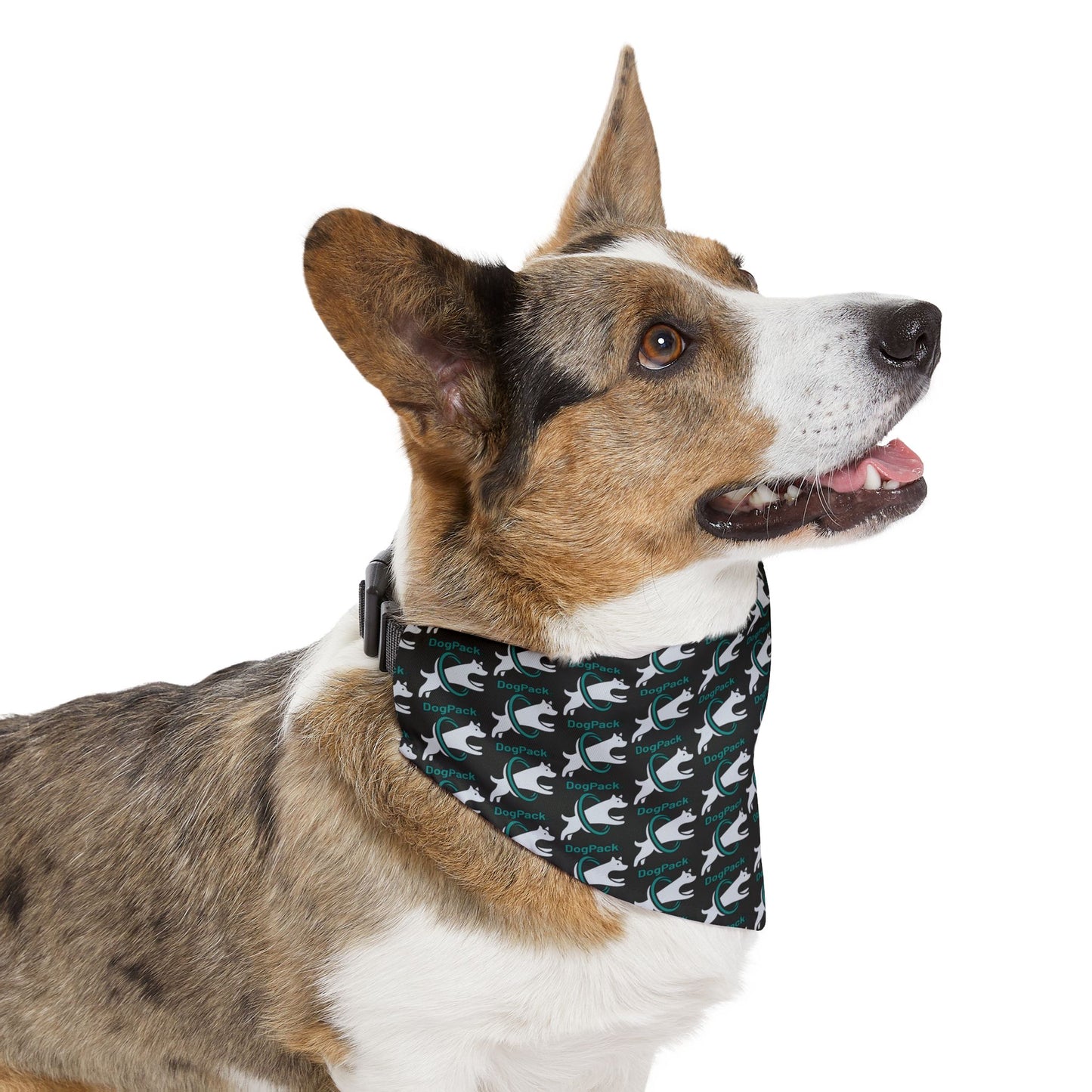 DogPack Patterned Bandana Collar — Adjustable Pet Bandana