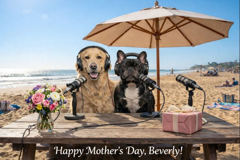 Goldie & Frenchie Custom Message in a Video