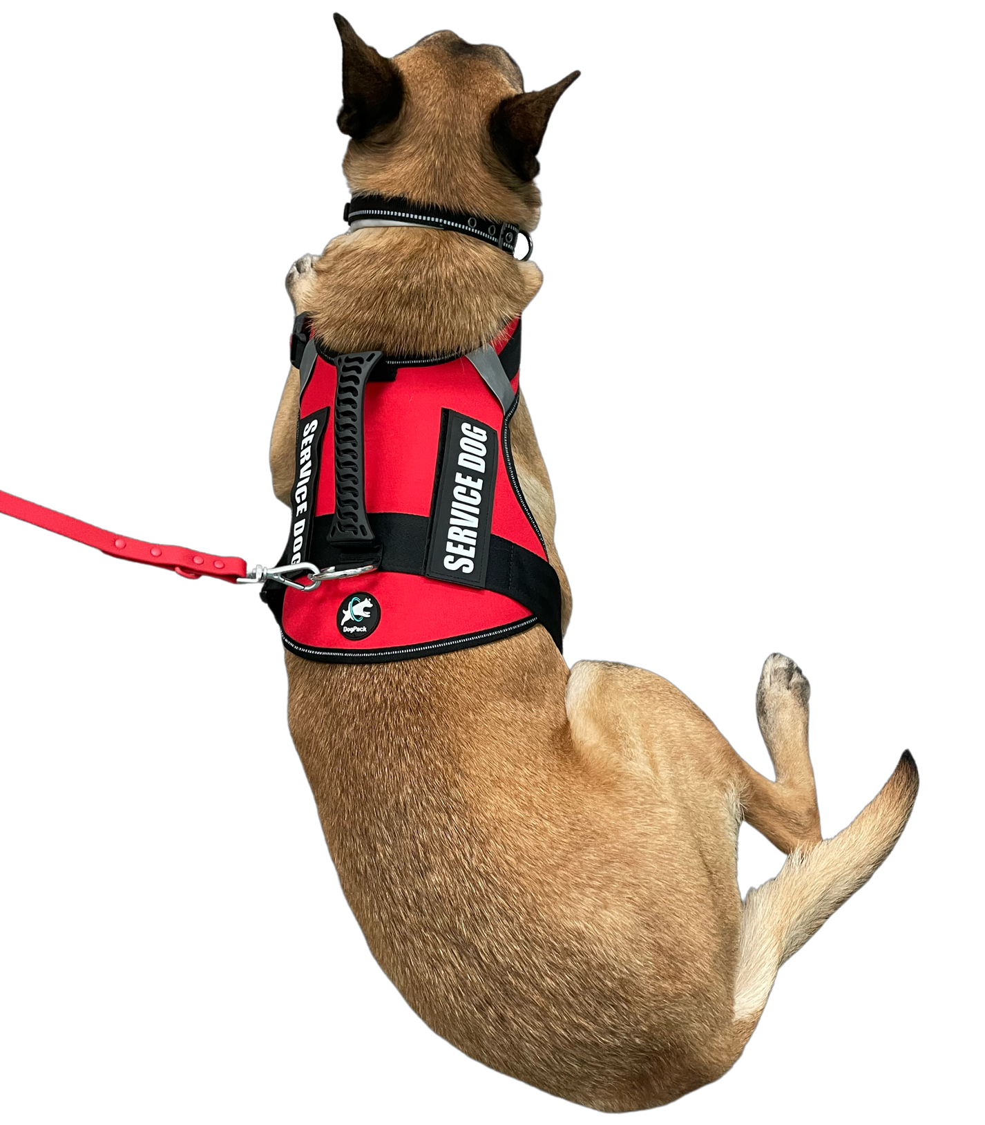 Reflective Service Dog Harness DogPackApp