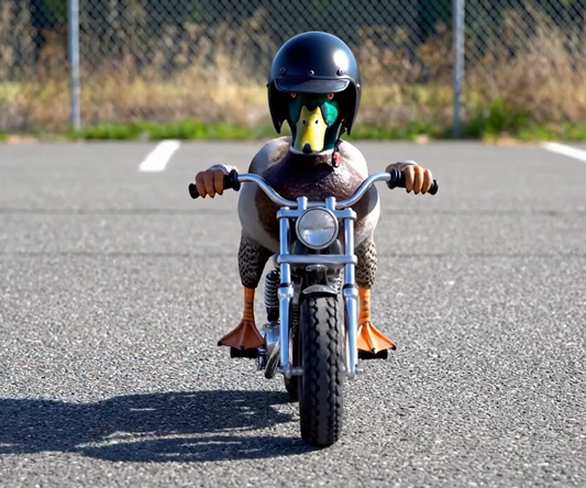 Fully Customized Photos